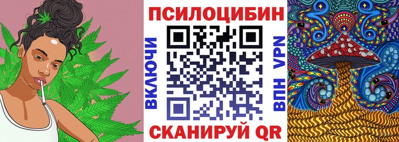 Галлюциногенные грибы GOLDEN TEACHER  мега сайт  Ржев 